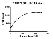 HTRF for YTHDF2 (401-554) activity