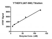 HTRF for YTHDF3 (407-560) activity