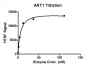 HTRF assay for recombinant AKT1 protein activity