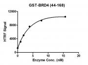 HTRF assay for BRD4 (44-168), GST-Tag activity