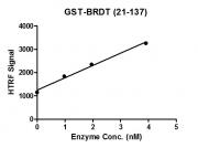 HTRF assay for recombinant BRDT (21-137) protein, GST-Tag activity
