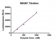 NSUN1 activity assay