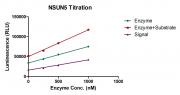 Recombinant NSUN5 protein activity assay