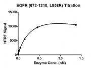 HTRF assay for EGFR (672-1210, L858R) protein activity