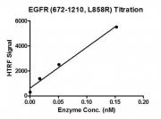 HTRF assay for EGFR (672-1210, L858R) protein activity