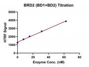 HTRF assay for BRD2 (BD1+BD2) activity