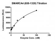 ADP-Glo Assay for SMARCA4 (658-1328) activity.