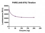 Recombinant PARG (448-976) protein ELISA assay