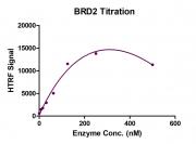 Recombinant BDR2 HTRF activity assay