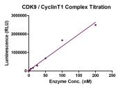 Recombinant CDK9 / CyclinT1  protein ADP-Glo activity assay