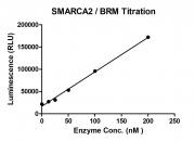 Recombinant SMARCA2 / BRM protein activity assay