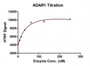 HTRF Assay for Recombinant ADAR1 protein activity.