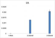 HPLC for ADAR1 activity