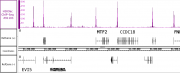 AbFlex<sup>&reg;</sup> Histone H3K9ac antibody (rAb) tested by ChIP-Seq.