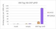 AbFlex<sup>&reg;</sup> AM-Tag antibody (rAb) tested by ChIP.