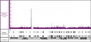 AbFlex<sup>&reg;</sup> Cas9 antibody (rAb) tested by ChIP-Seq.