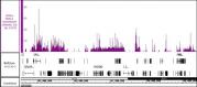 AbFlex<sup>&reg;</sup> HDAC2 antibody (rAb) tested by ChIP-Seq.