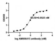 SARS-CoV-2 Spike Antibody (AM006415) tested by ELISA.