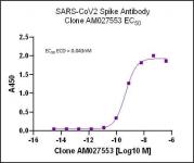 SARS-CoV-2 Spike Antibody (rAb) (AM027553) tested by ELISA